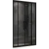 Душевая дверь Schwarzer Diamant AG33160BH ABBER