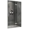 Душевая дверь Zart AG08100 ABBER