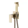 Встраиваемый гигиенический комплект Daheim AF8226G Abber