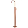 Смеситель для раковины Wasserfal AF8640MRG Abber