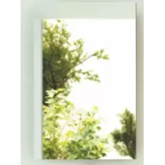 Зеркало-шкаф Диана-50 белое 700*480*150