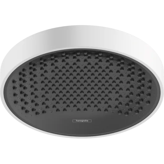 Верхний душ Rainfinity 250 1jet EcoSmart, матовый белый, HG 26229700