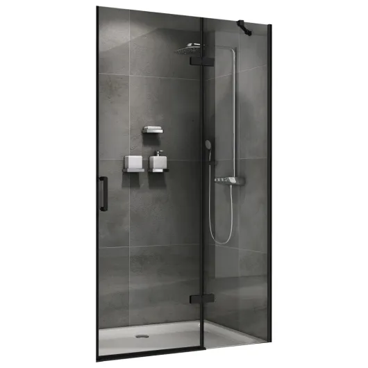 Душевая дверь Zart AG08090B ABBER