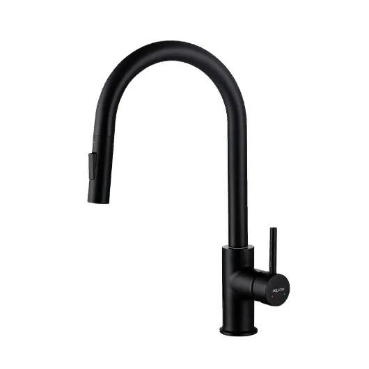 Смеситель для кухни Европа AQ1384MB Aquatek